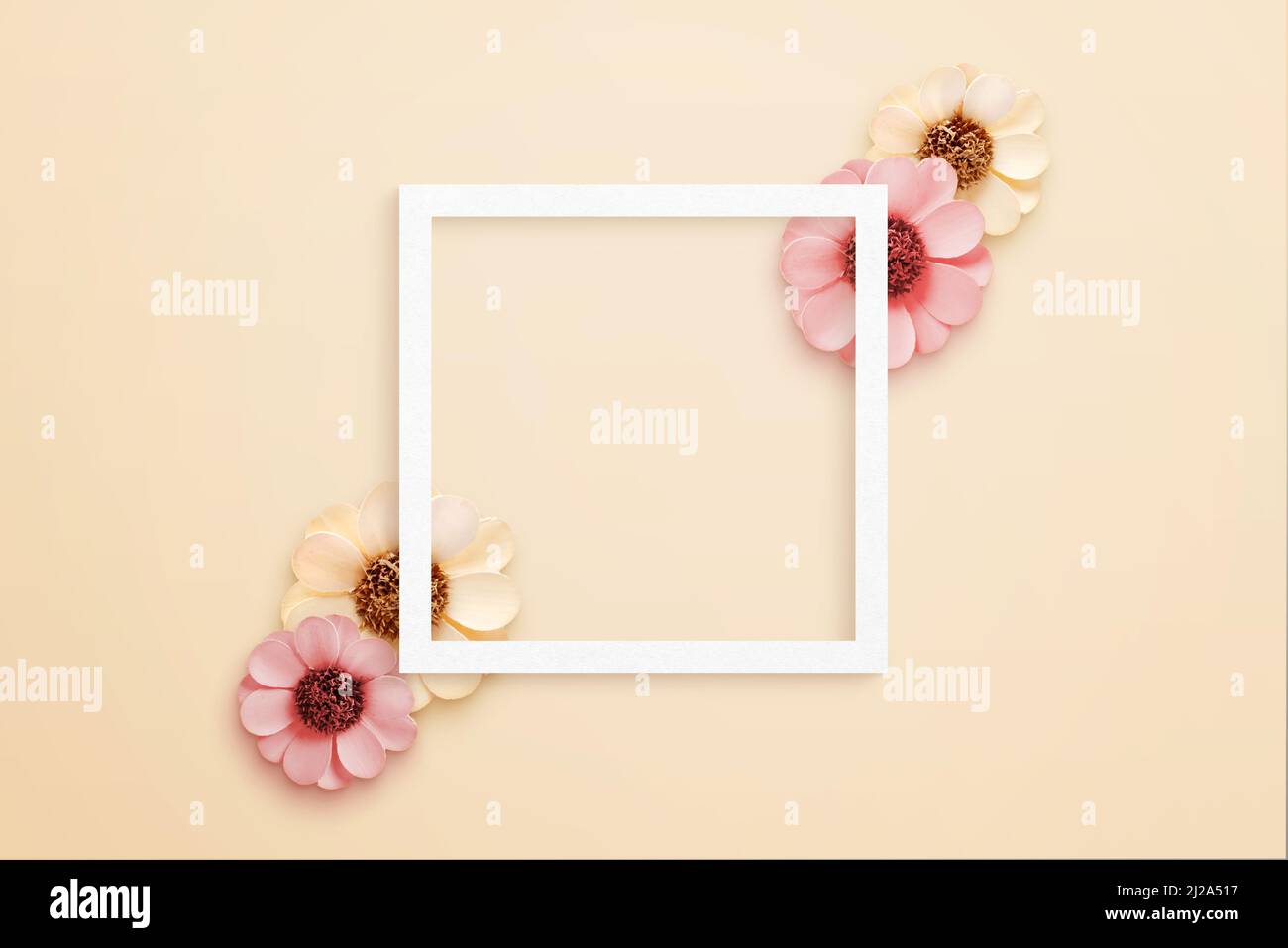Cadre carré en papier blanc entouré de fleurs printanières. Vue de dessus, composition de la pose à plat Banque D'Images Cadre carré en papier blanc entouré de fleurs printanières. Vue de dessus, composition de la pose à plat Banque D'Images
