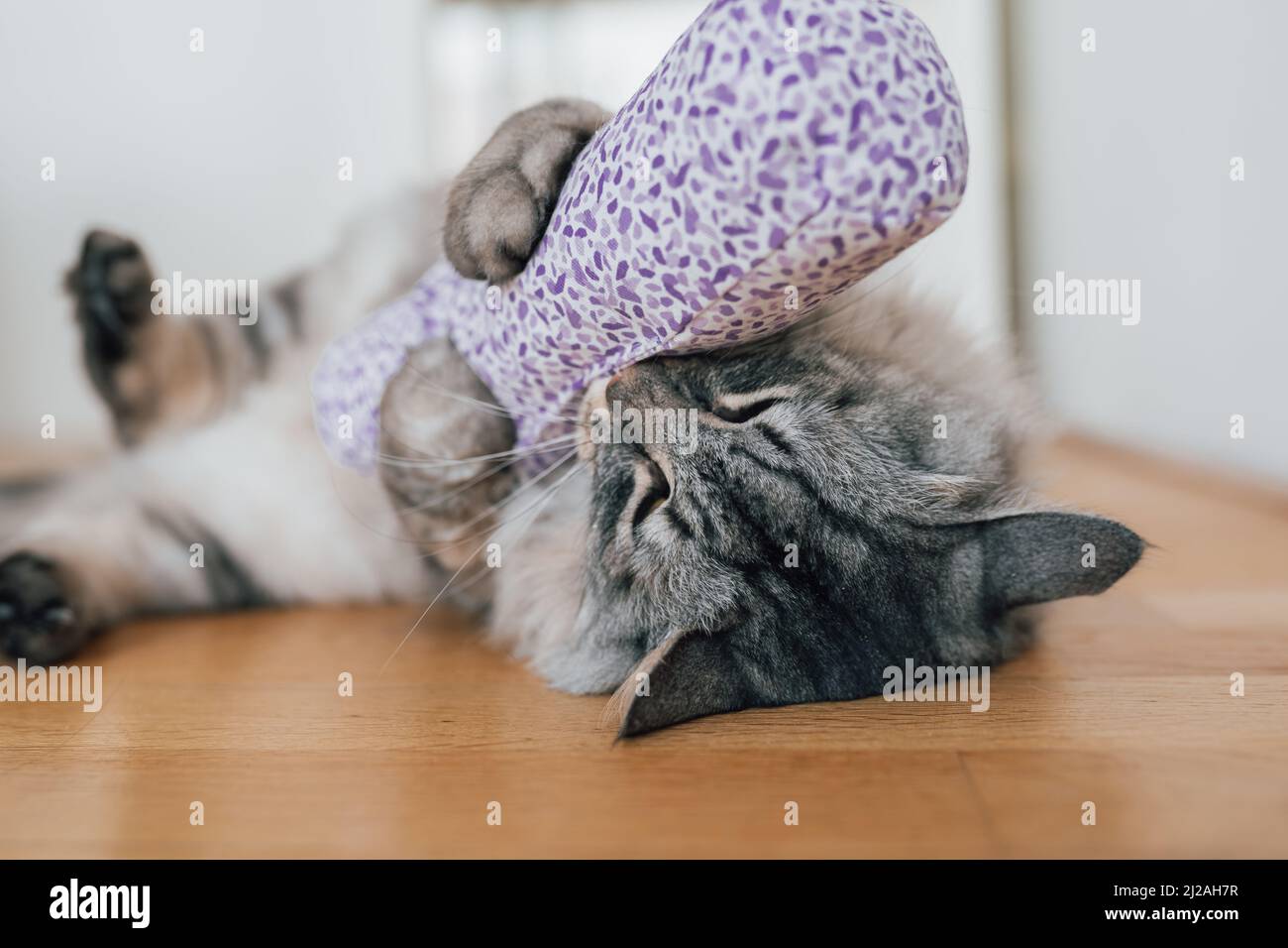 Animaux Ivres Banque De Photographies Et D Images A Haute Resolution Alamy