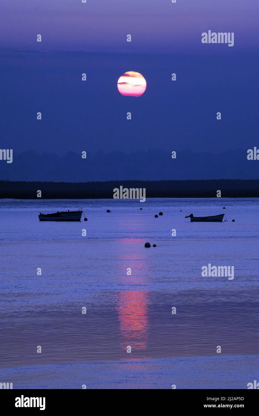 bateaux se balançant sur l'amarrage sur le dében de rivière à bawdsey suffolk angleterre Banque D'Images