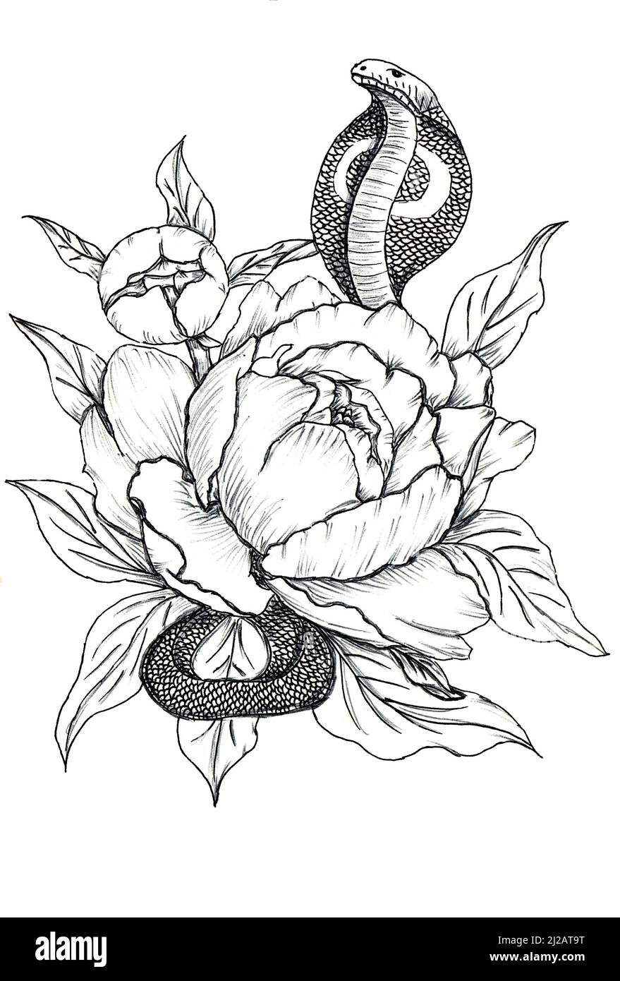 tattoo cobra décoré de fleurs de pivoine. t-shirt, logo, affiche, motif en tissu. dessin graphique dessiné à la main sur fond blanc isolé. design vintage. Banque D'Images
