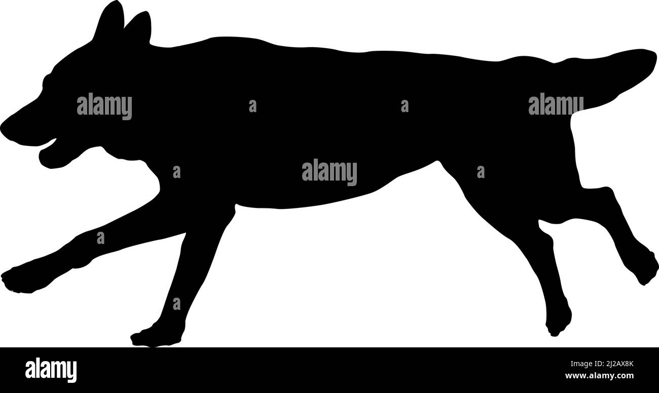Chien de chasse tchécoslovaque wolfdog. Silhouette de chien noire. Animaux de compagnie. Isolé sur un fond blanc. Illustration vectorielle. Illustration de Vecteur Chien de chasse tchécoslovaque wolfdog. Silhouette de chien noire. Animaux de compagnie. Isolé sur un fond blanc. Illustration vectorielle. Illustration de Vecteur