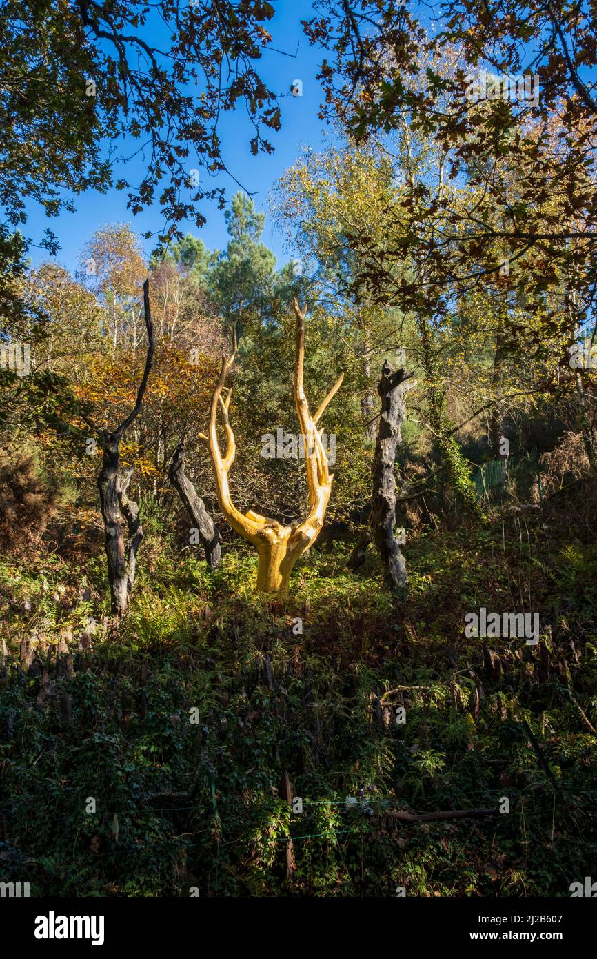 Trehorenteuc (Bretagne, Nord-Ouest de la France): Mythologie Arthurienne, "Val sans retour" (Vallée sans retour) dans la Forêt de Brocéliande, oeuvre d'ar Banque D'Images