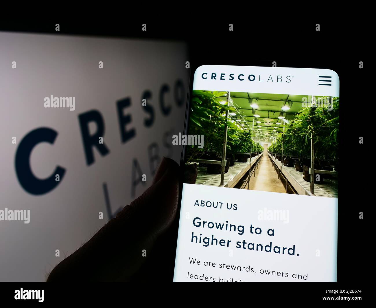 Personne tenant un téléphone portable avec la page Web de la société américaine de cannabis Cresco Labs Inc. À l'écran devant le logo. Concentrez-vous sur le centre de l'écran du téléphone. Banque D'Images