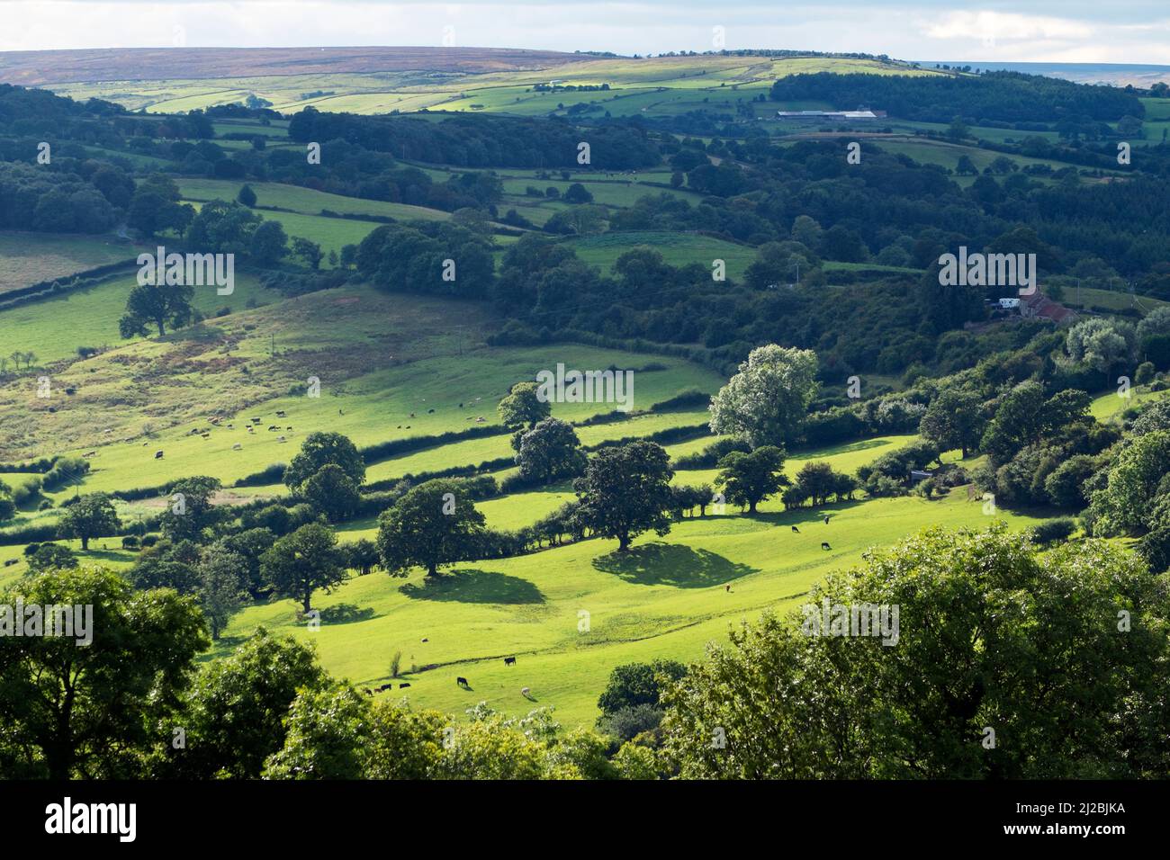 Vue sur la campagne avec des bâtiments de ferme, le Pâturage Pâturage et distance en high moorland, North East Yorkshire Huf, Banque D'Images
