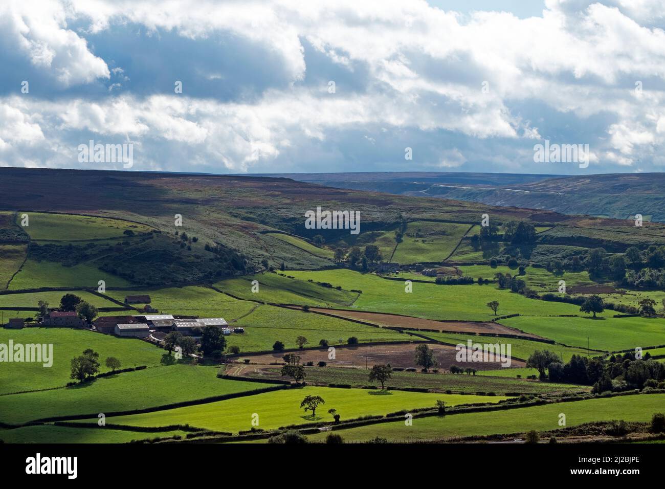 Vue sur la campagne avec des bâtiments de ferme, le Pâturage Pâturage et distance en high moorland, North East Yorkshire Huf, Banque D'Images