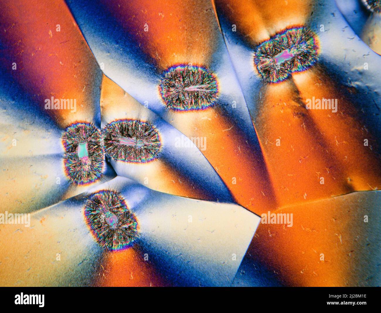 Échantillon cristallisé en vitamine C, lame polarisée croisée spectaculaire avec plaque de retard ajoutée, photomicrographe Banque D'Images