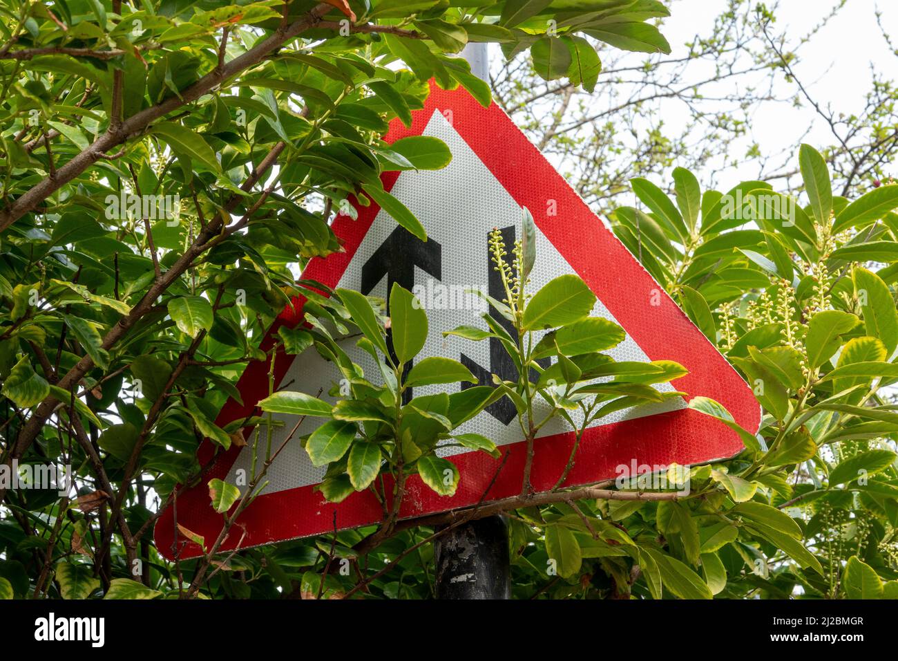 Un triangle d'avertissement monté sur un poteau de bord de route indiquant la circulation bidirectionnelle complètement couverte par le sous-développement Banque D'Images