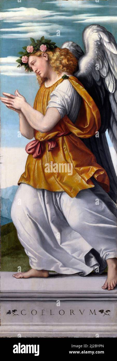 Moretto da Brescia. Un Ange adorant par Alessandro Bonvicino (aussi Buonvicino) (c. 1498-1554), huile sur bois, c. 1540 Banque D'Images