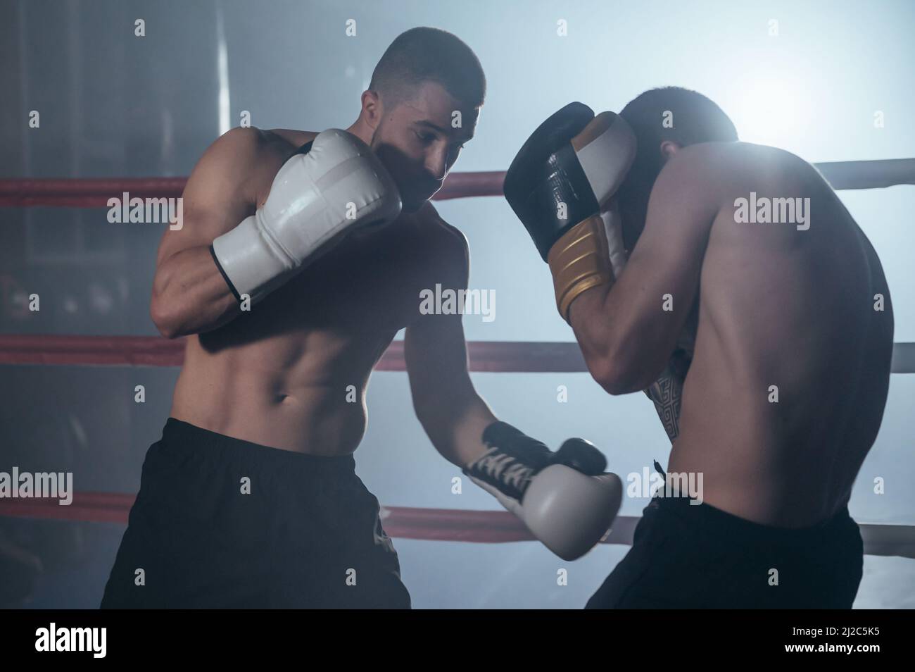 Deux boxeurs professionnels de sexe masculin, muscellement et sans chirte, qui se battent dans un ring de boxe. Photographie de haute qualité. Banque D'Images