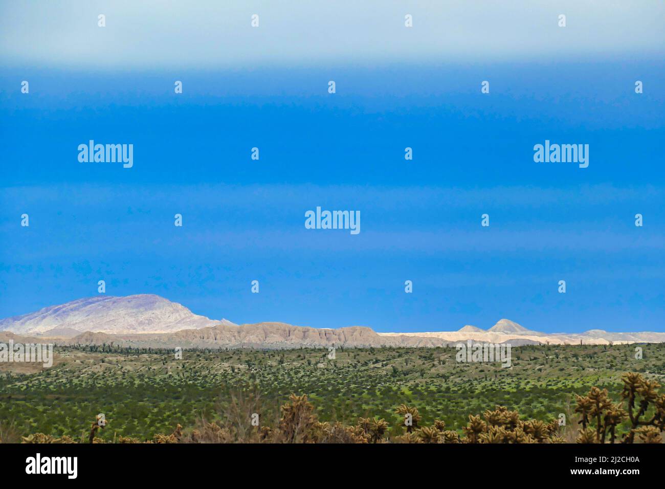 Vue sur les Badlands de Carrizo jusqu'aux montagnes blanches de Vallecito, dans le parc national du désert d'Anza Borrego, Californie, États-Unis. Désert vert après la pluie d'hiver Banque D'Images