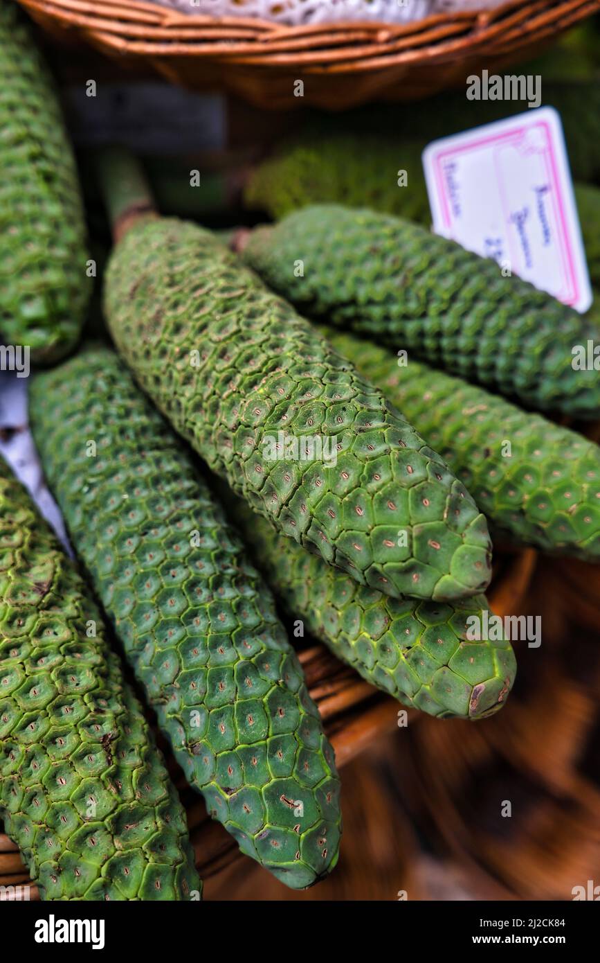 Un fruit Monstera ou des bananes sur un marché. Banque D'Images