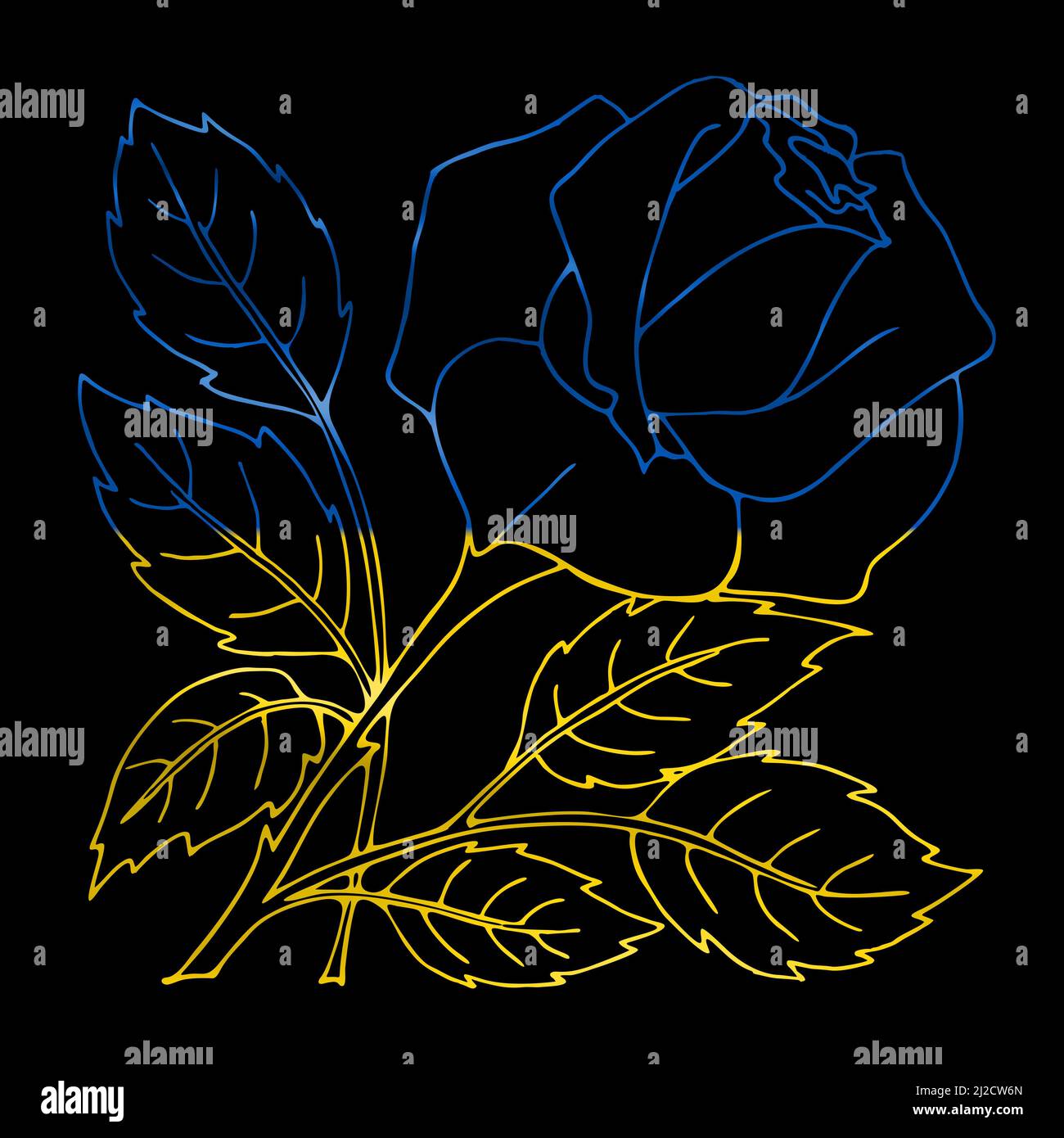 illustration de la rose jaune-bleu ukrainien sur fond noir Banque D'Images