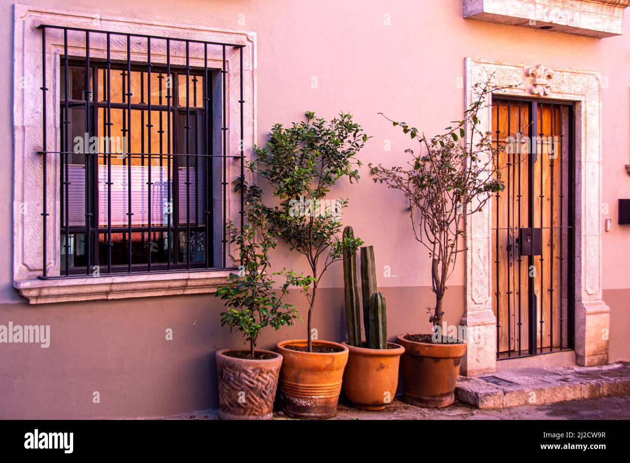 La façade d'une maison décorée de plantes et de barres en fer forgé. San Miguel de Allende, Guanajuato, Mexique. Banque D'Images