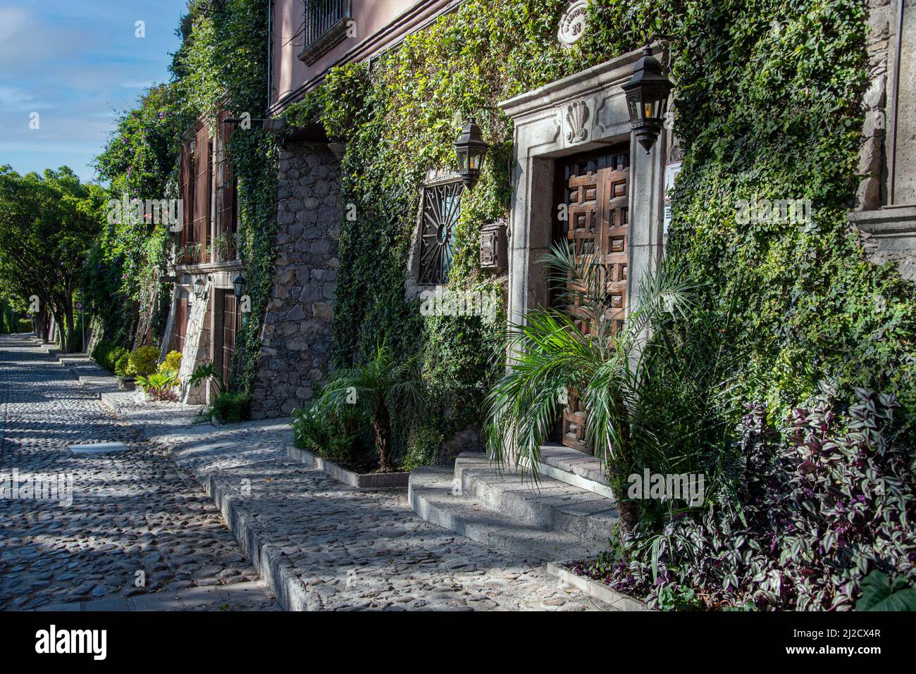 Une maison couverte de lierre. San Miguel de Allende, Guanajuato, Mexique. Banque D'Images