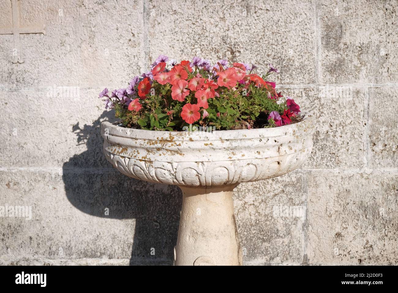 Fleurs multicolores de pétunias dans un vase en pierre, Monténégro Banque D'Images