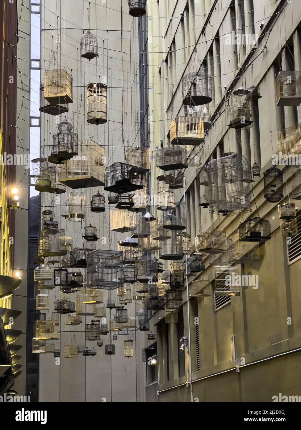 The Forgotten Songs, installation artistique de cages à oiseaux vides accrochées à la place Laneway, Sydney Australie Banque D'Images