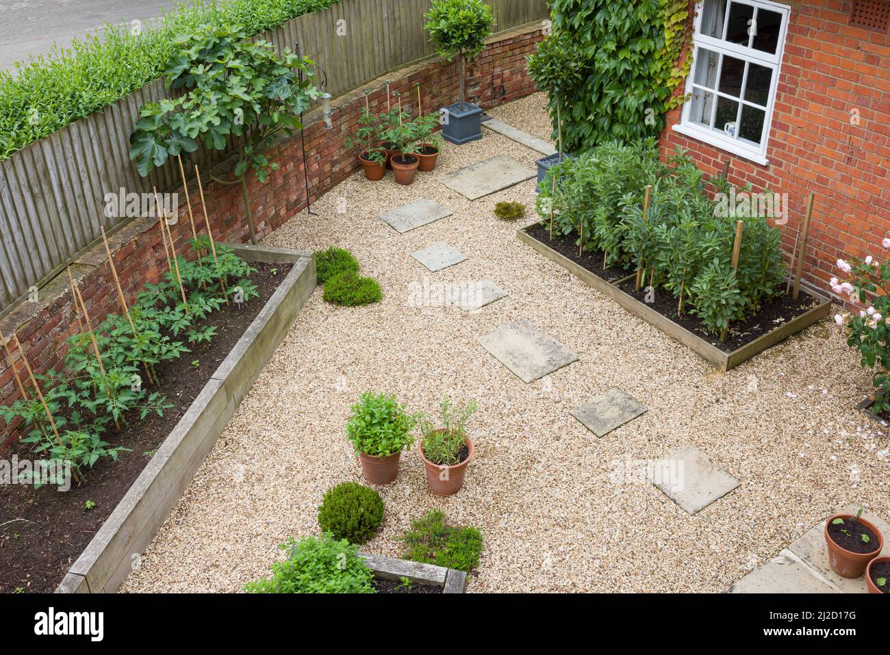 50 Cloches De Protection Pour Plantes - 4,5x4,5x2,5 Cm - Couvertures De Germination - Jardinage