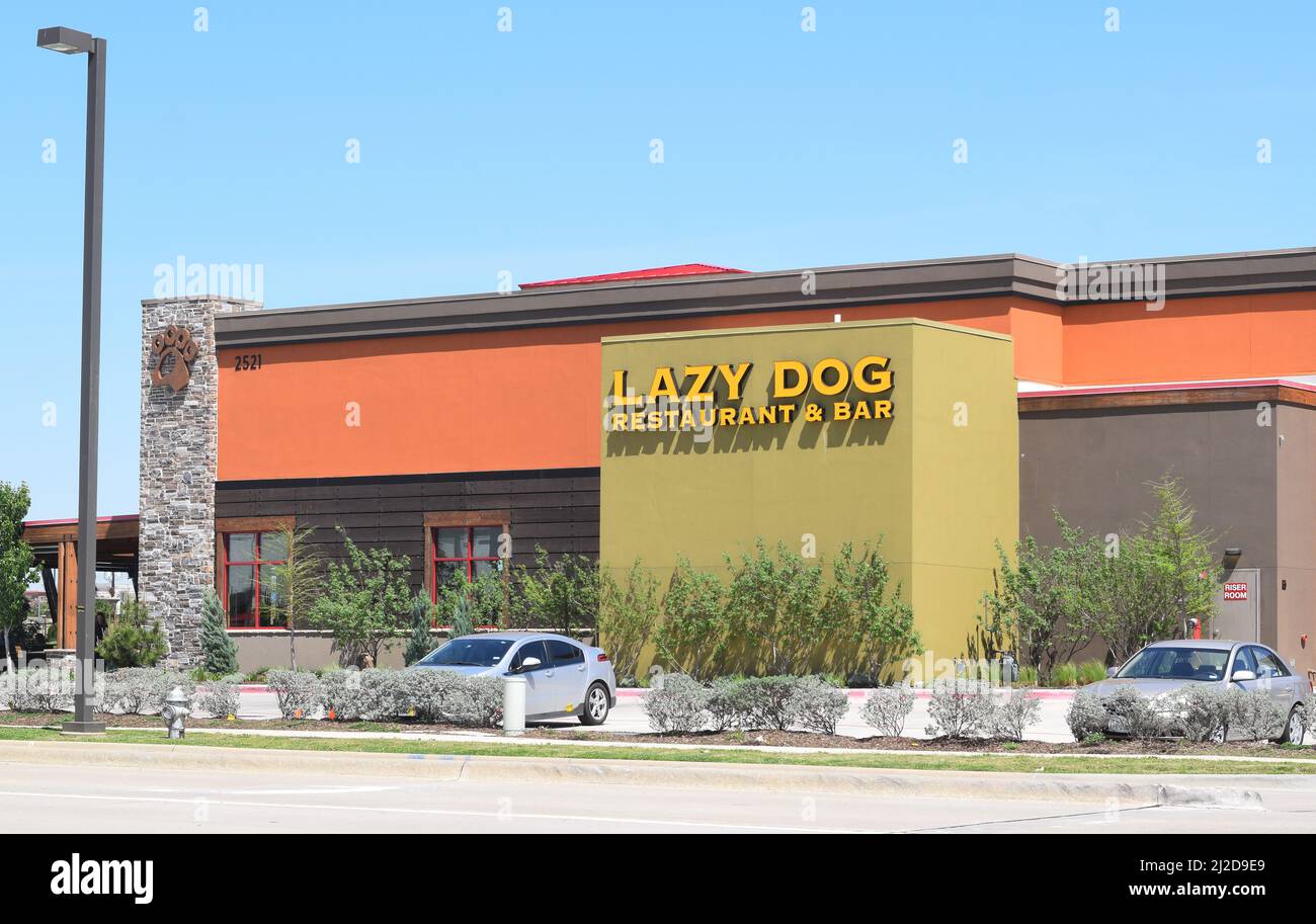 Voitures garées en face du restaurant Lazy Dog dans la zone commerçante de Glade Parks d'Euless, Texas Banque D'Images