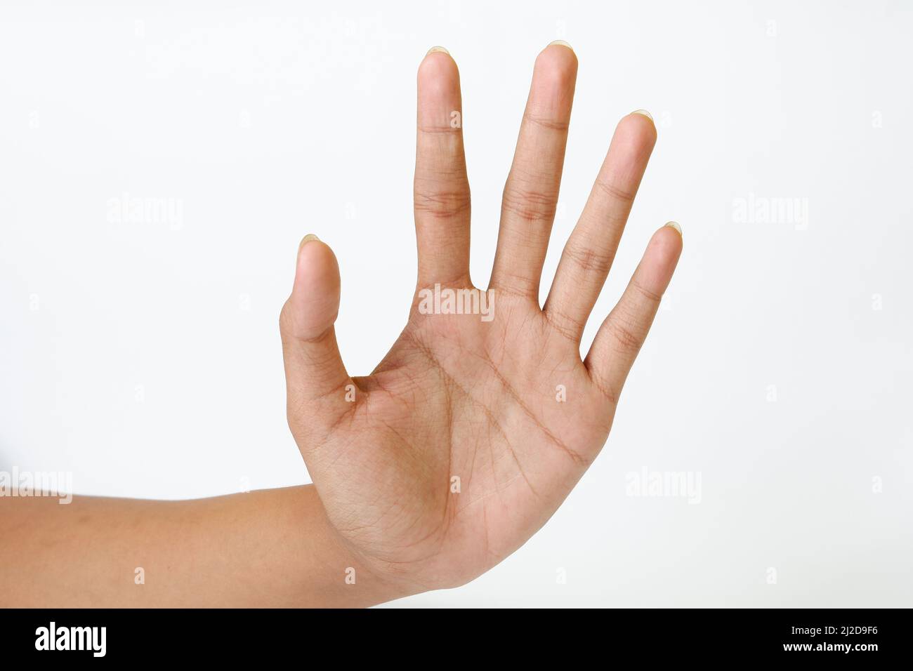 Une main femelle adulte montrant la paume de la main ou le signe au revoir isolé sur un fond blanc Banque D'Images