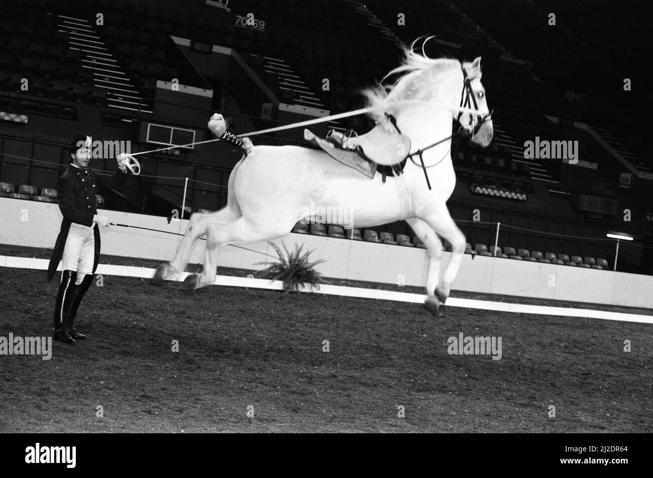 L'école d'équitation espagnole de Vienne répète leur art classique de l'équitation qu'ils vont jouer au cours des prochains jours à Wembley Arena. Un des chevaux exécutant un Capriole qui signifie tous les quatre pieds au-dessus du sol. 16th octobre 1985. Banque D'Images