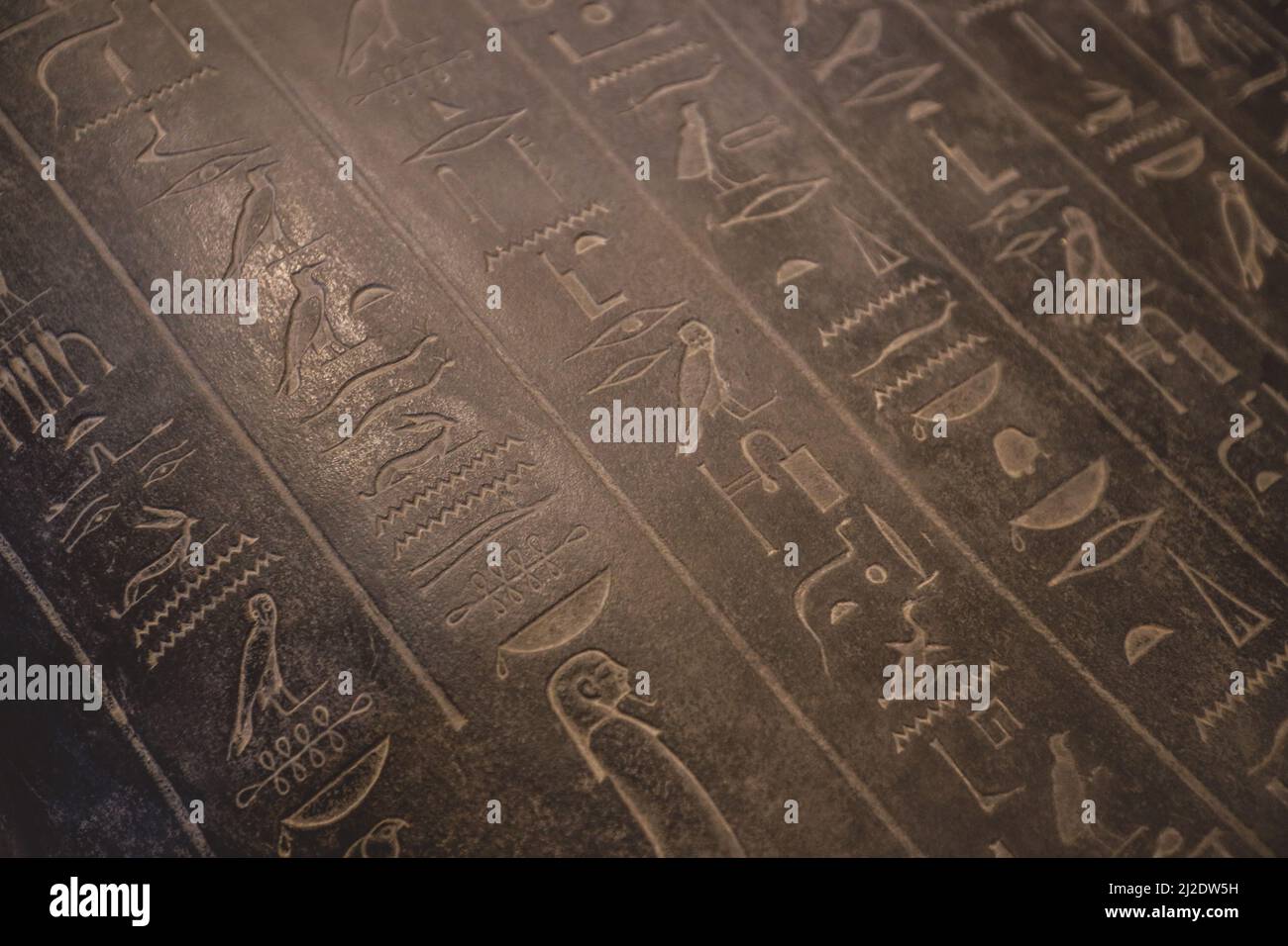 Affiche murale représentant des hiéroglyphes égyptiens de la civilisation ancienne 61 x 91 cm