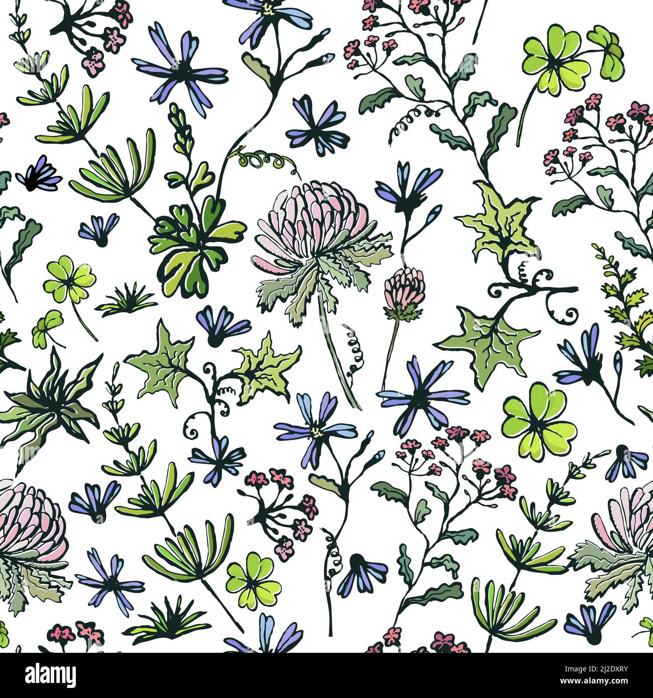 Motif fleurs sauvages sans couture. Travail à la main. Illustration vectorielle Illustration de Vecteur