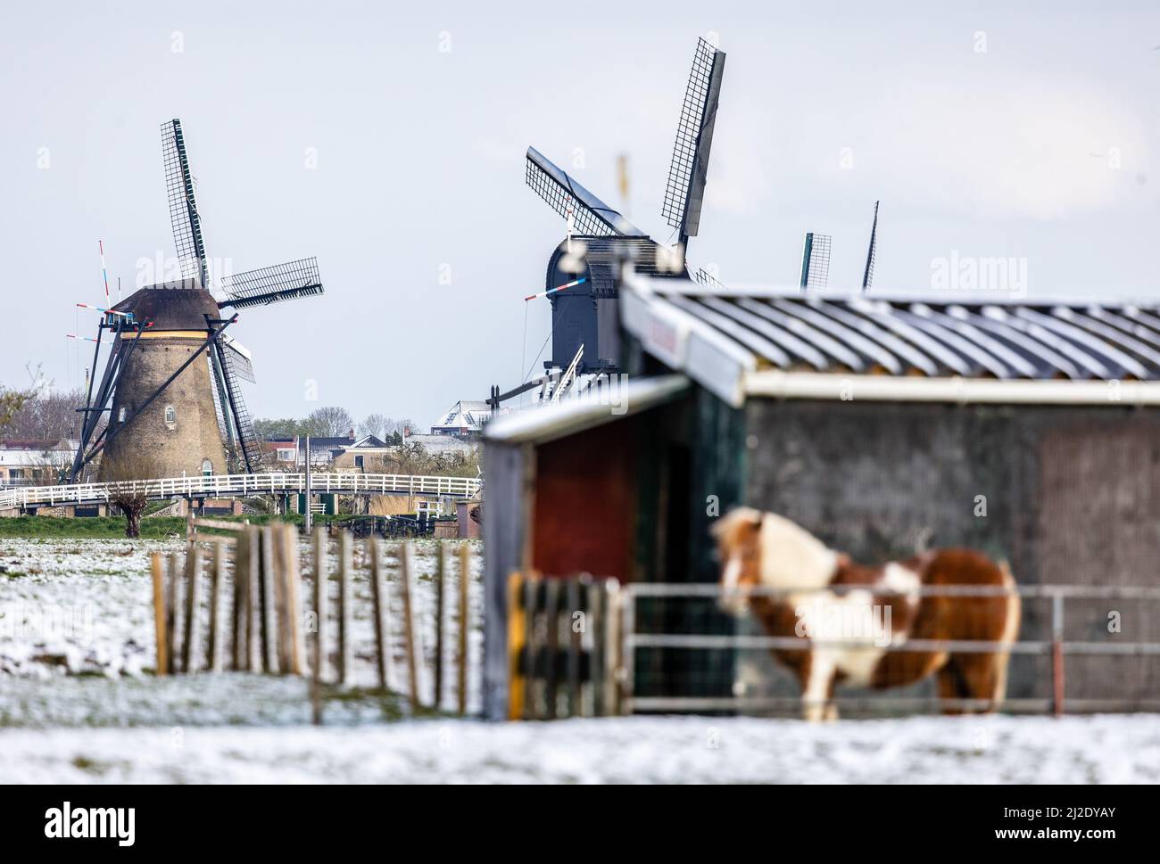 2022-04-01 08:35:54 LES MOULINS à vent de Kinderdijk sont couverts d'une couche de neige. Le premier jour d'avril a commencé avec le temps hivernal. ANP JEFFREY GREENWEG pays-bas Out - belgique Out Credit: ANP/Alay Live News Banque D'Images