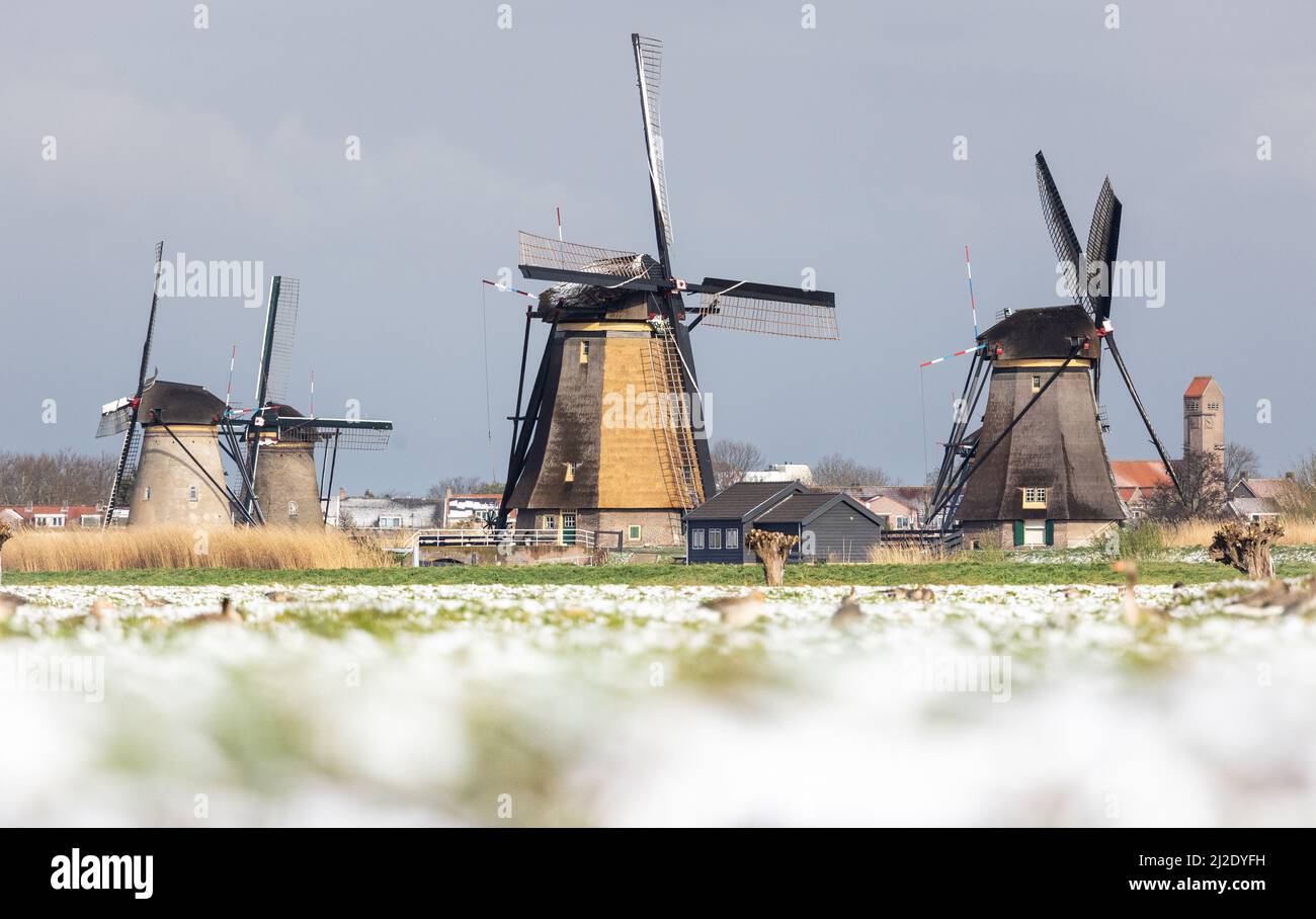 2022-04-01 08:49:57 LES MOULINS à vent de Kinderdijk sont couverts d'une couche de neige. Le premier jour d'avril a commencé avec le temps hivernal. ANP JEFFREY GREENWEG pays-bas Out - belgique Out Credit: ANP/Alay Live News Banque D'Images