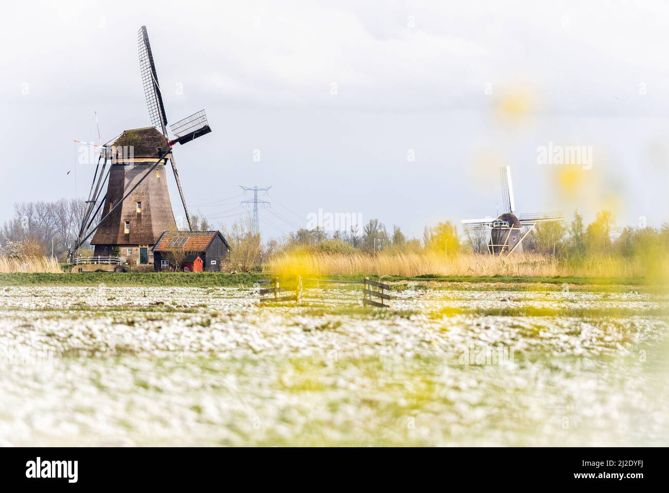 2022-04-01 08:53:45 LES MOULINS à vent de Kinderdijk sont couverts d'une couche de neige. Le premier jour d'avril a commencé avec le temps hivernal. ANP JEFFREY GREENWEG pays-bas Out - belgique Out Credit: ANP/Alay Live News Banque D'Images