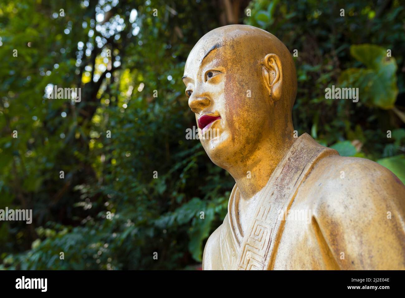 Belle statue de bouddha photo unique de près (profil gauche, angle bas). Sculpture dorée représentant un moine. Dix mille Monastère de Bouddhas, Hong Kong Banque D'Images Belle statue de bouddha photo unique de près (profil gauche, angle bas). Sculpture dorée représentant un moine. Dix mille Monastère de Bouddhas, Hong Kong Banque D'Images