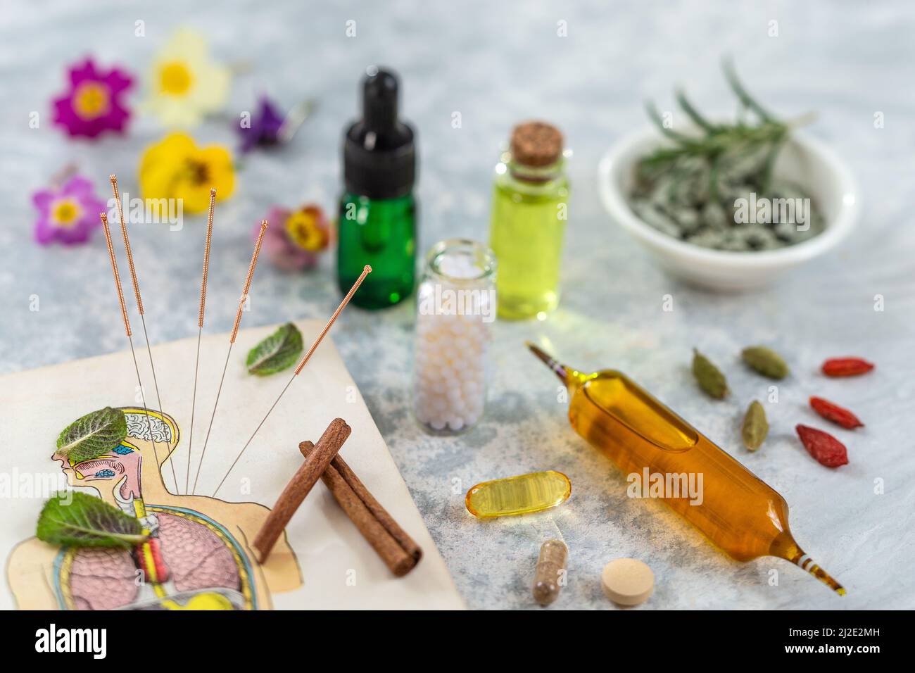 Bouteille de pilules aliments suplements médicaments santé médicaments soins de santé additifs de traitement pharmacie avec céramique blanc portar avec plantes médicinales fraîches sur fond Banque D'Images