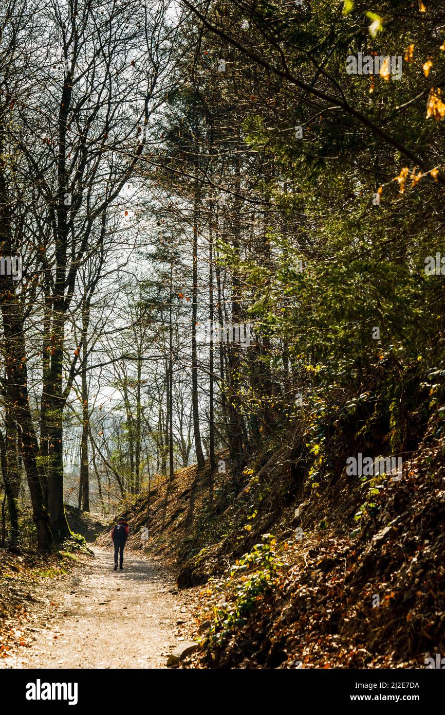 Sentier de randonnée dans le Land de Bergisches près du pont ferroviaire de Mungsten Banque D'Images
