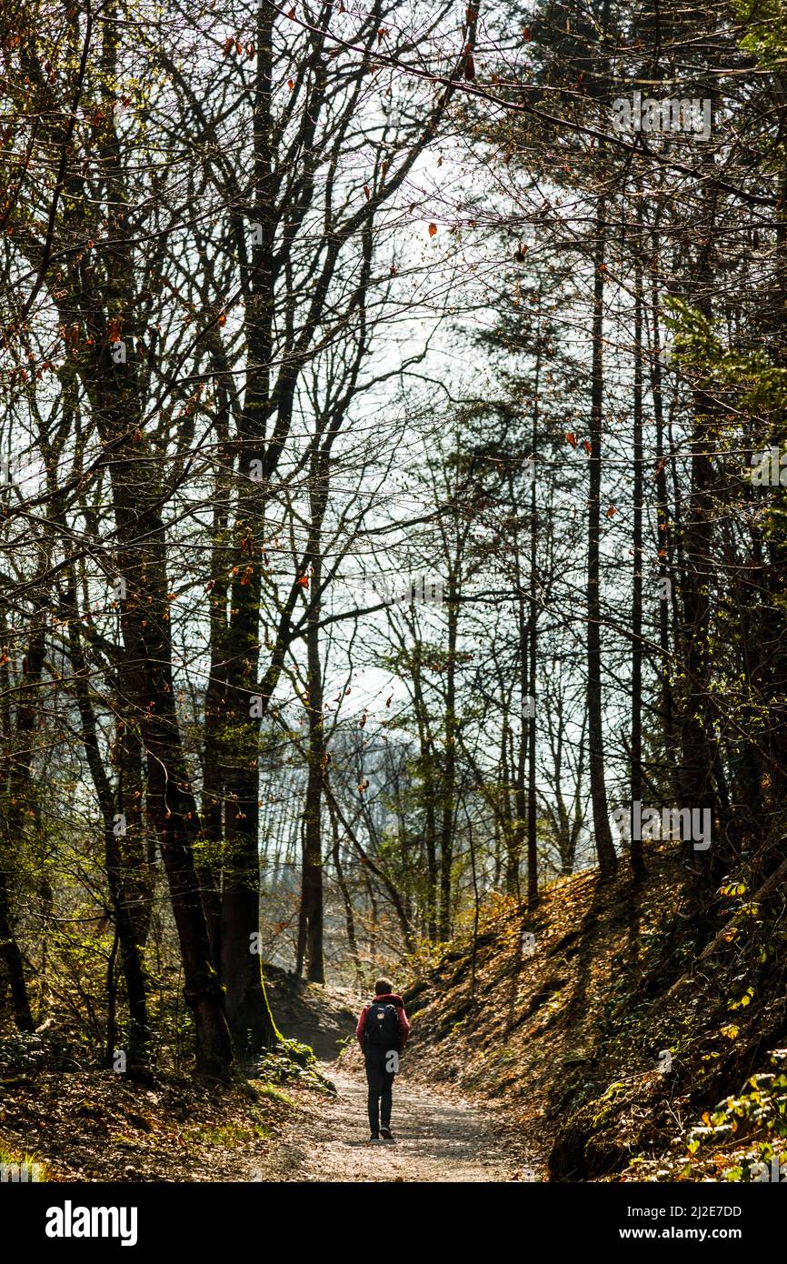 Sentier de randonnée dans le Land de Bergisches près du pont ferroviaire de Mungsten Banque D'Images