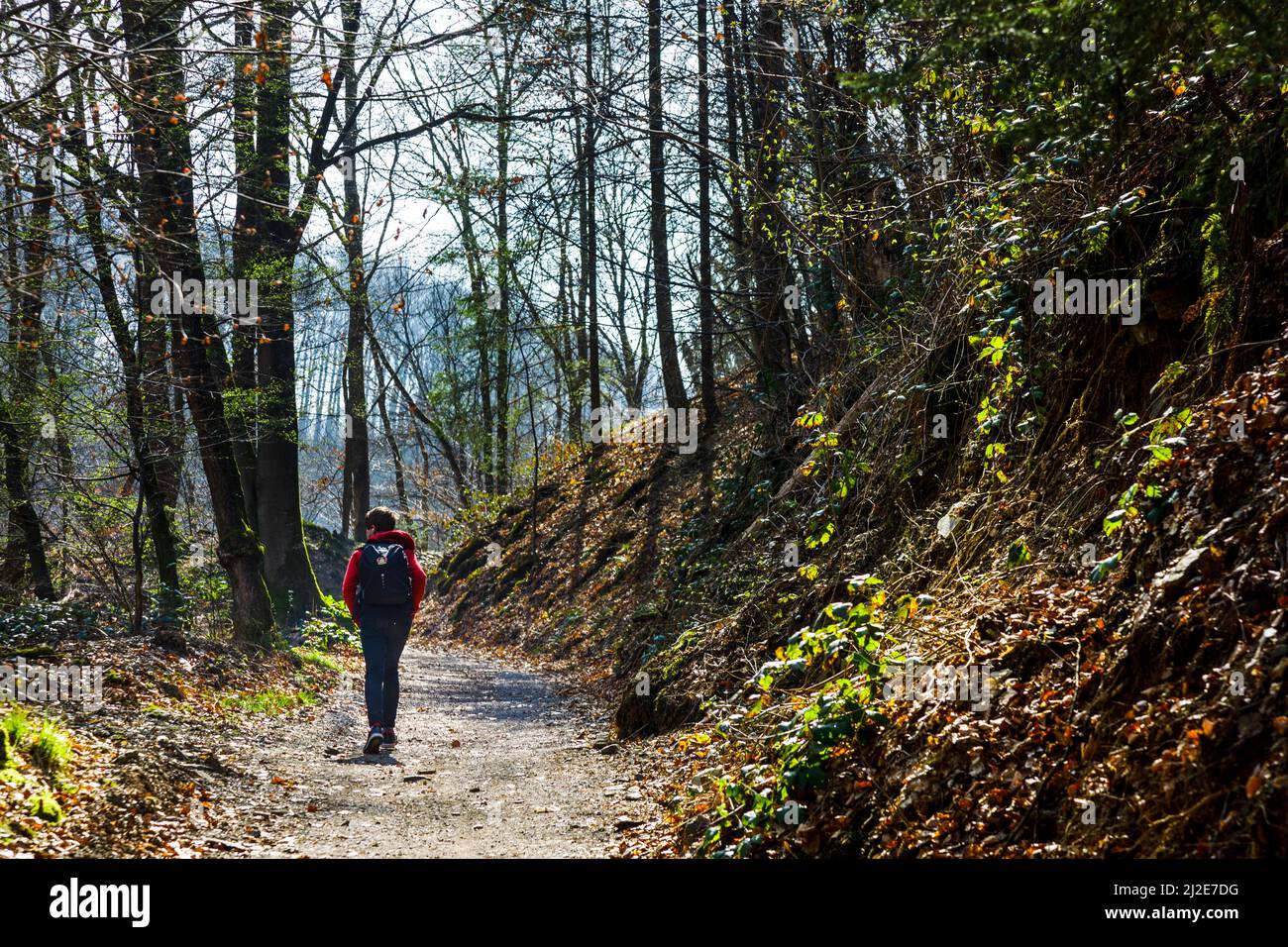 Sentier de randonnée dans le Land de Bergisches près du pont ferroviaire de Mungsten Banque D'Images