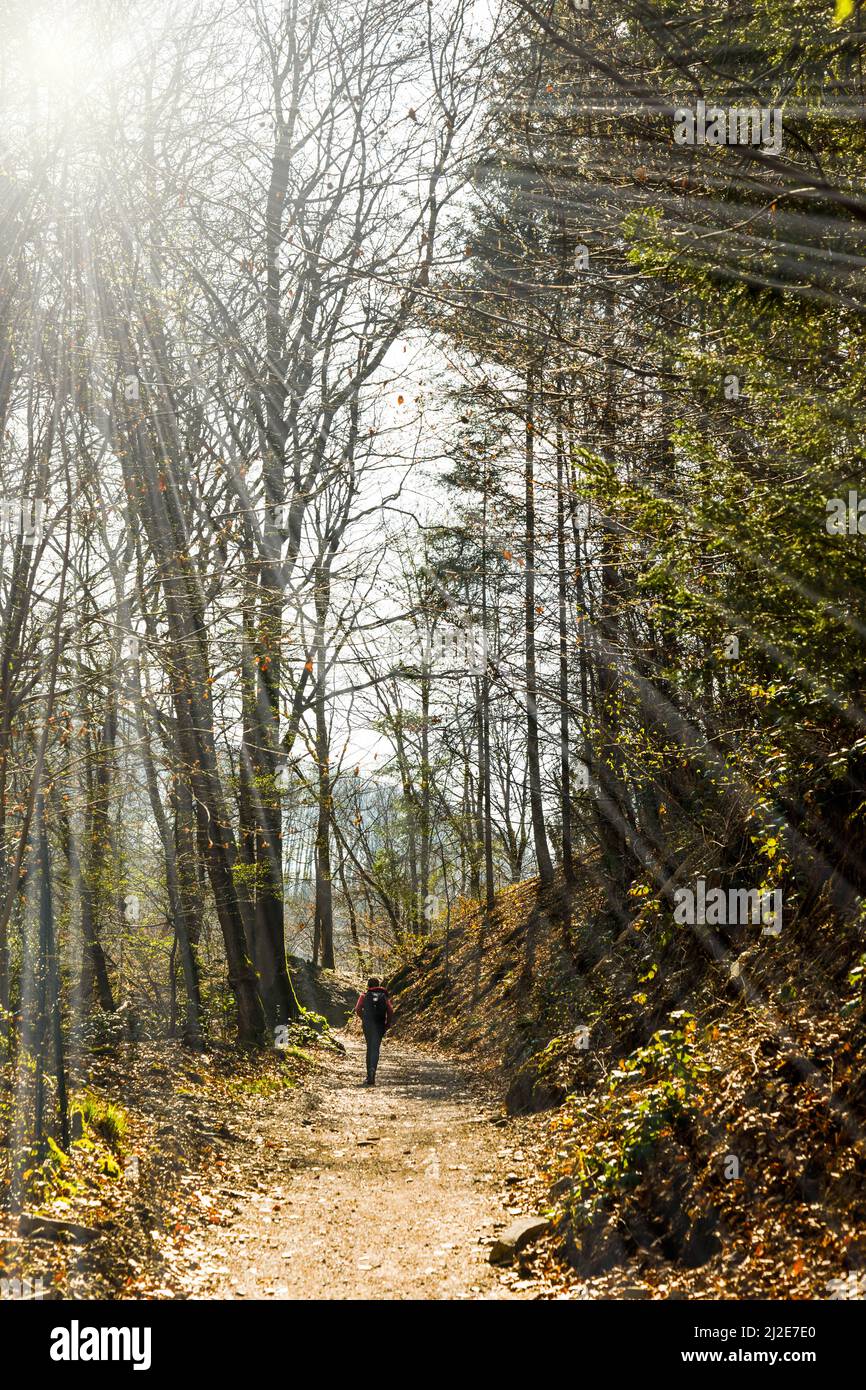 Sentier de randonnée dans le Land de Bergisches près du pont ferroviaire de Mungsten Banque D'Images