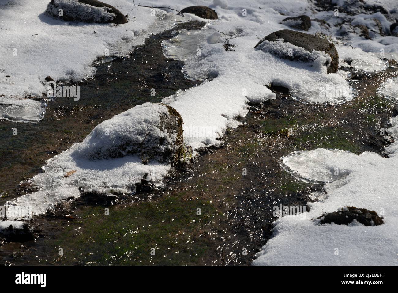 L'eau de source coule pendant le dégel de mars par une journée ensoleillée Banque D'Images
