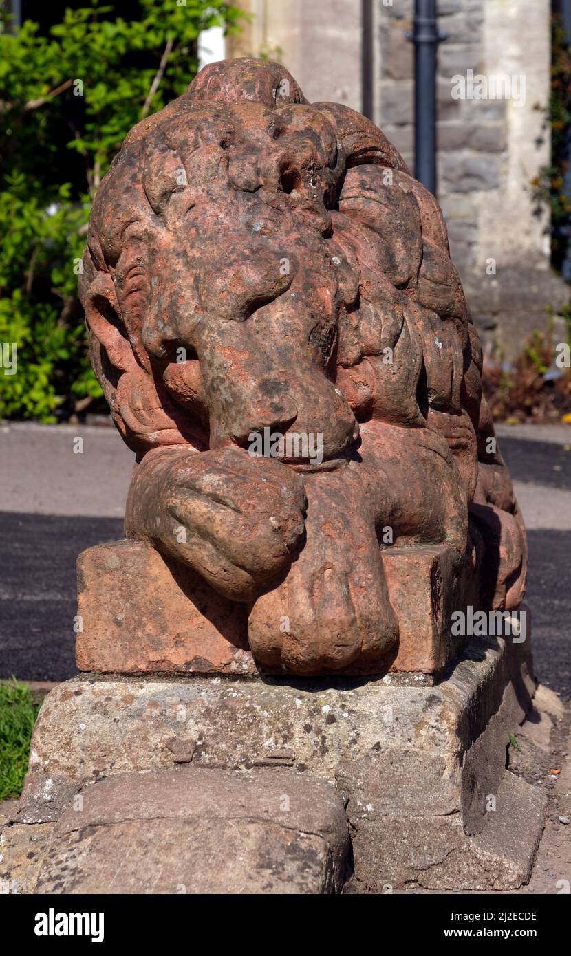 Statue de lion endormi, garde debout dans les jardins de l'Insole court, Llandaff, Cardiff. Mars. Printemps 2022. Banque D'Images
