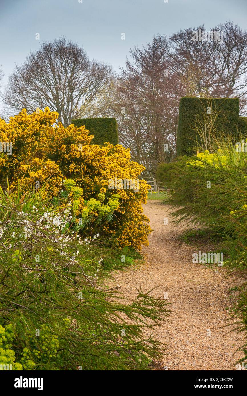 Premier jour d'ouverture de 2022, le 29th mars, à Great Dixter Gardens par une journée frais et nuageux, les couleurs illuminent le jour, East Sussex Banque D'Images