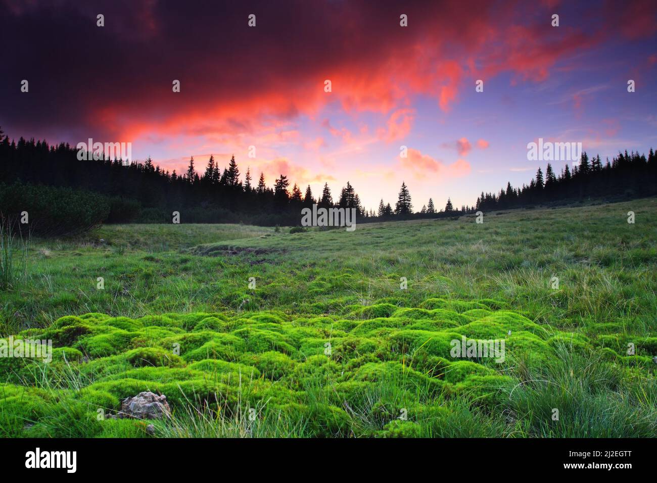 belle matinée dans le paysage des montagnes Banque D'Images