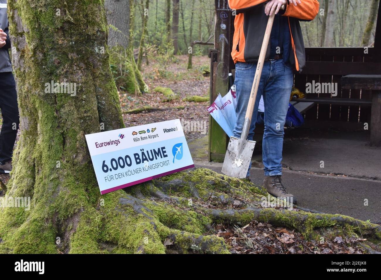 Cologne, Allemagne. 31st mars 2022. Jens Bischof, PDG d'Eurowings, et Thilo Schmid, PDG de l'aéroport de Cologne/Bonn, lancent le projet conjoint de plantation de 6 000 arbres dans la réserve naturelle de Königsforst à Cologne. Cette initiative soutient le reboisement local dans la réserve naturelle de Cologne crédit: Horst Galuschka/dpa/Alamy Live News Banque D'Images