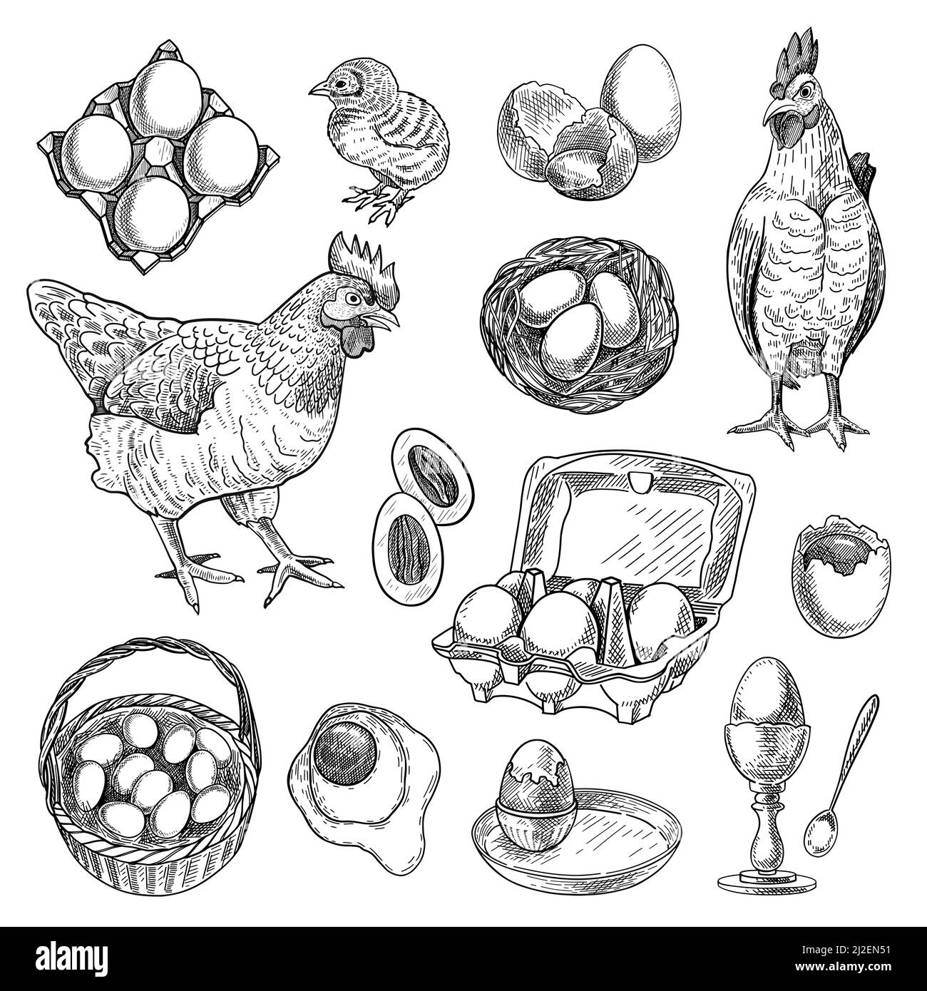 Ensemble de croquis de produits agricoles de poulet. Nid tiré à la main, poule, coq, panier avec œufs. Illustration vectorielle gravée pour la volaille, la viande, la production alimentaire, Illustration de Vecteur