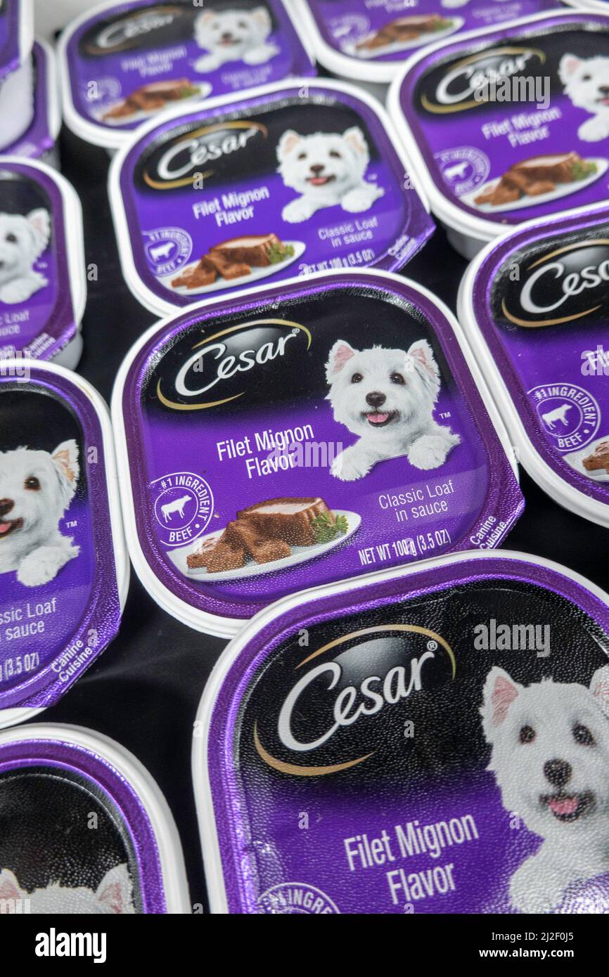 Nourriture pour chiens de petite race Cesar, États-Unis Banque D'Images