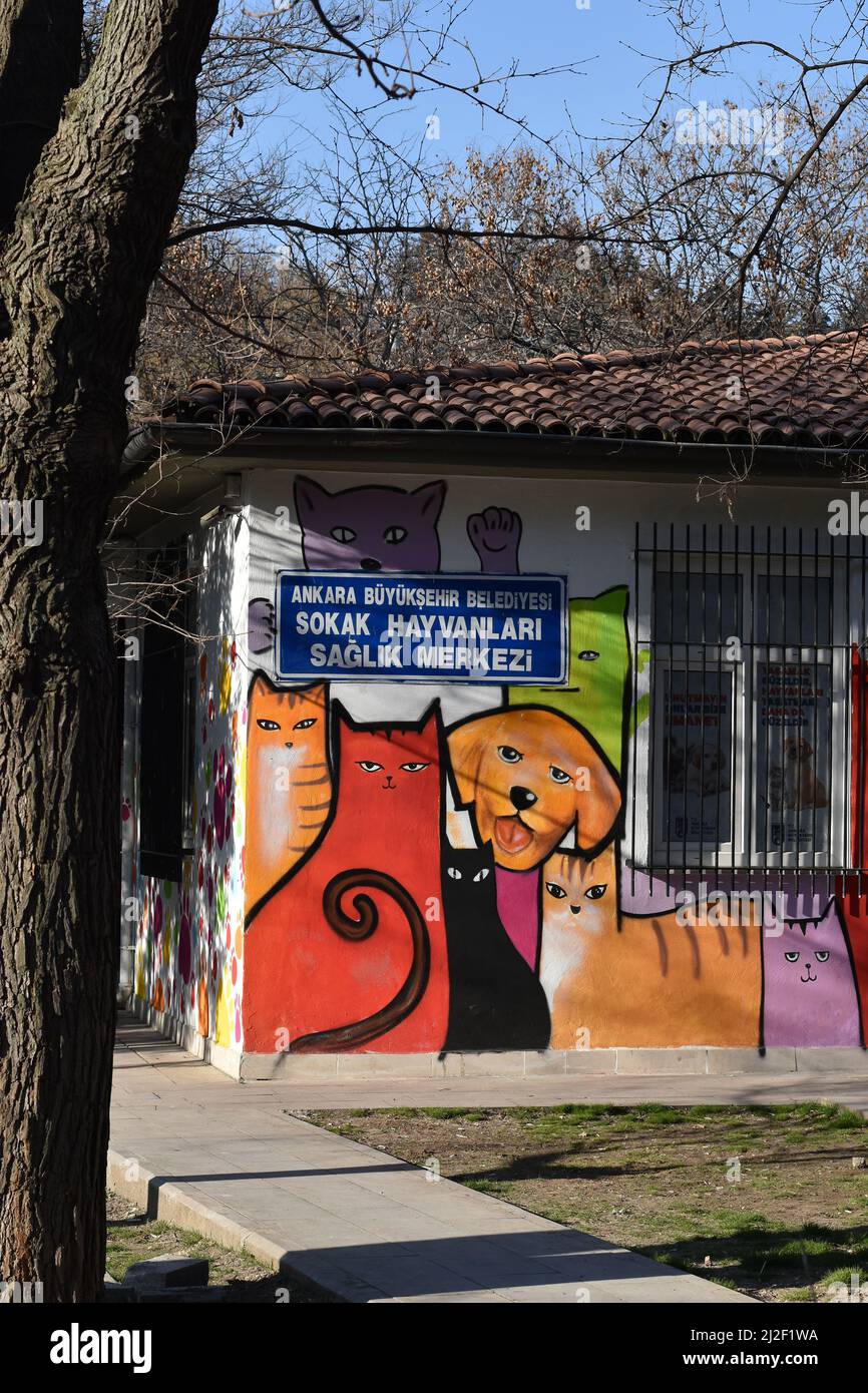 Murale avec des chats et des chiens sur le mur d'une clinique vétérinaire pour les animaux de la rue dans le parc Kurtulus, dans le centre d'Ankara Banque D'Images