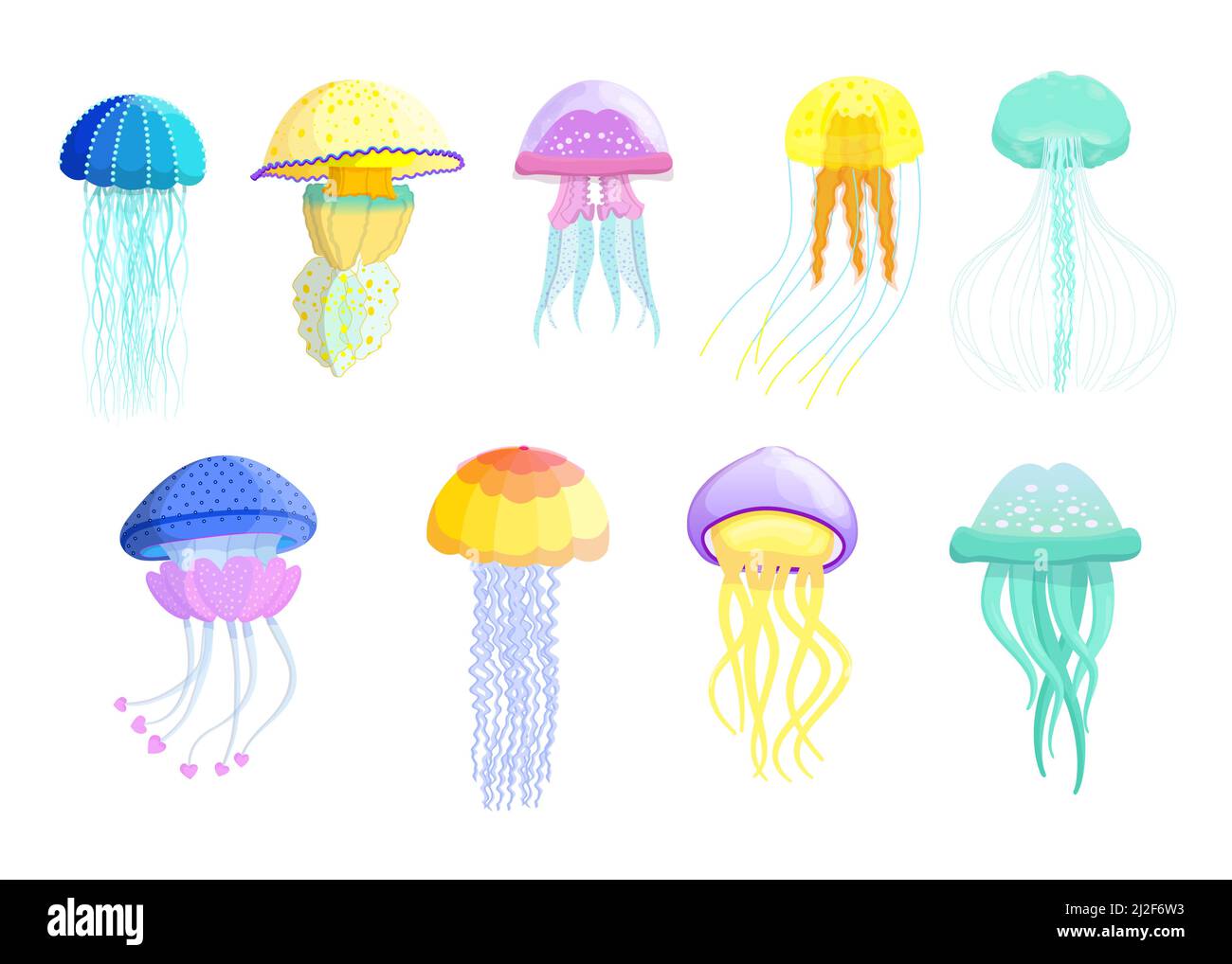 Ensemble de différentes plates de méduses créatives pour la conception de sites Web. Collection d'illustrations vectorielles isolées de créatures marines mignonnes de natation. La faune et la flore Illustration de Vecteur