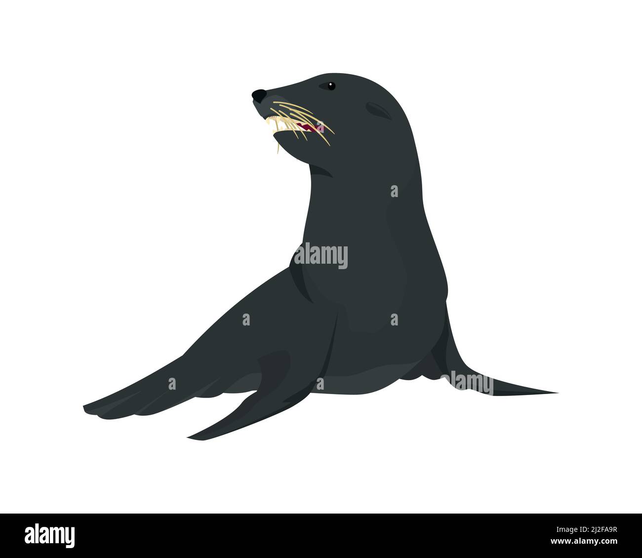 Illustration détaillée de Sea Lion assis Illustration de Vecteur