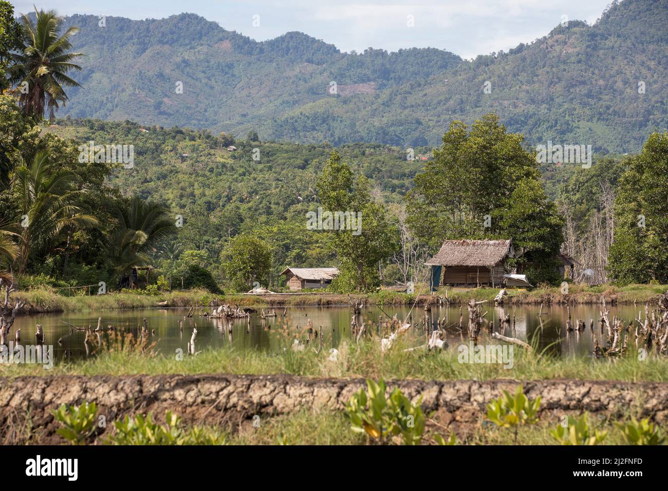 Les montagnes perchent au-dessus d'une ferme piscicole à Mamuju Regency, en Indonésie. Banque D'Images