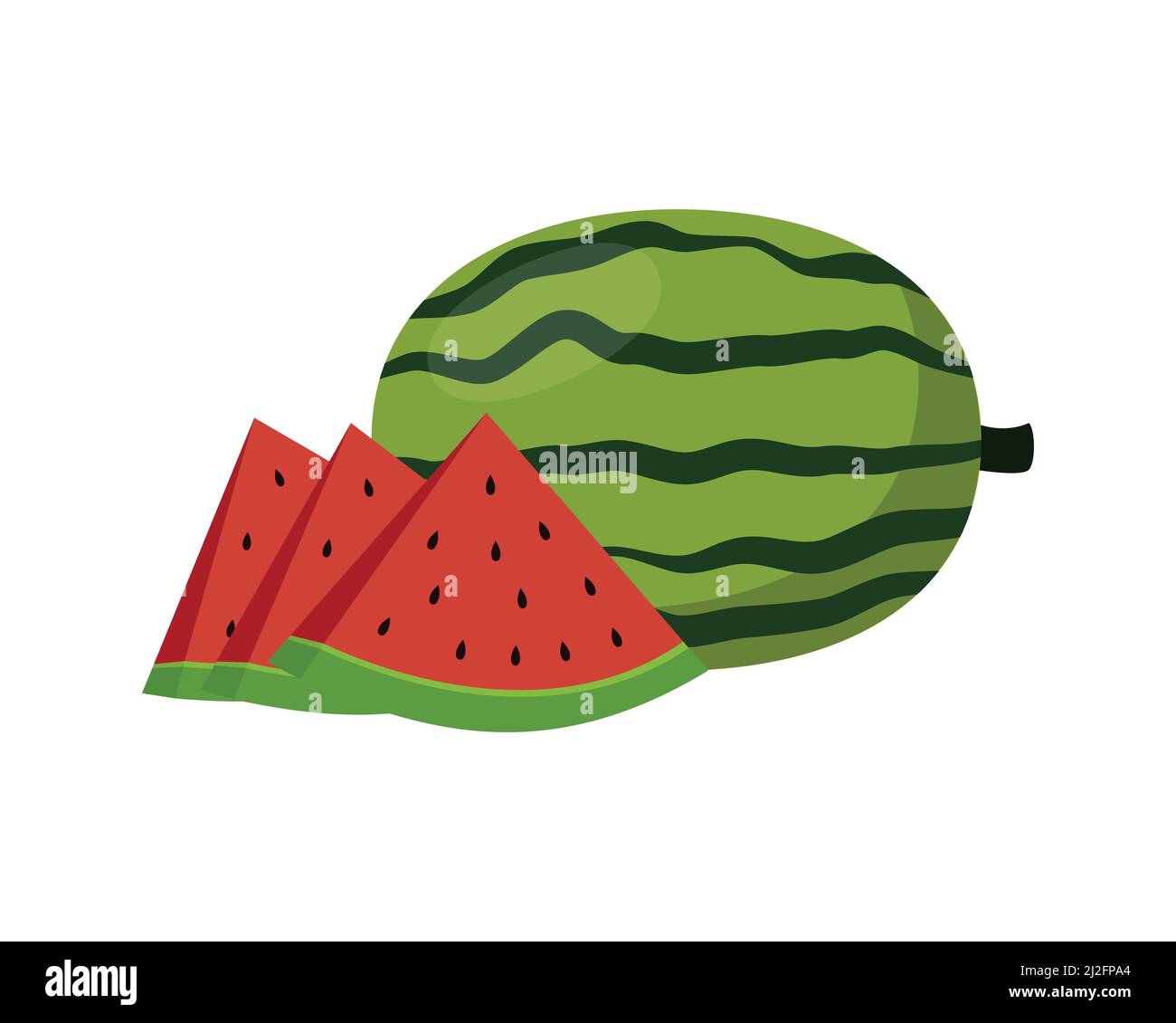Pastèque détaillée avec les tranches Illustration Vector Illustration de Vecteur