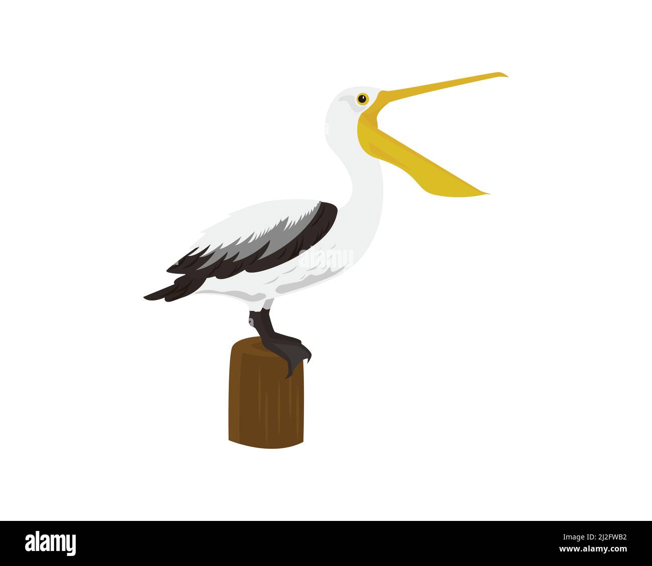 Pelican debout avec col ouvert Illustration Vector Illustration de Vecteur