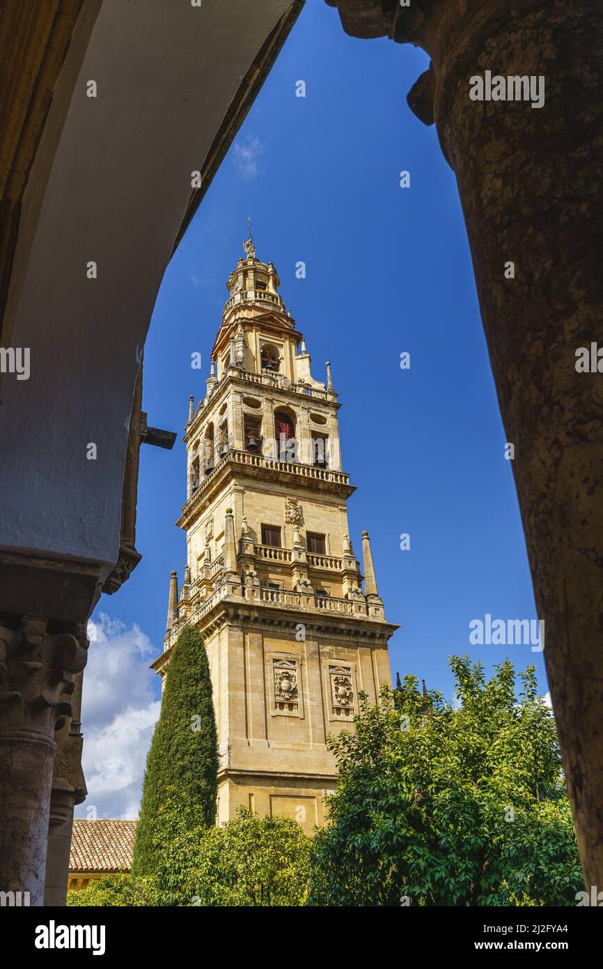 Vue sur la mosquée-cathédrale de Cordoue, en Andalousie, Espagne Banque D'Images