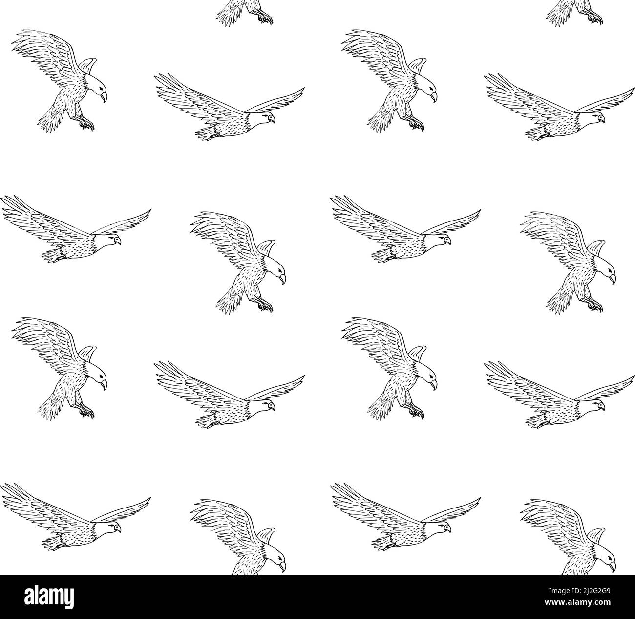 Motif vectoriel sans couture d'un croquis dessiné à la main aigle volant isolé sur fond blanc Illustration de Vecteur